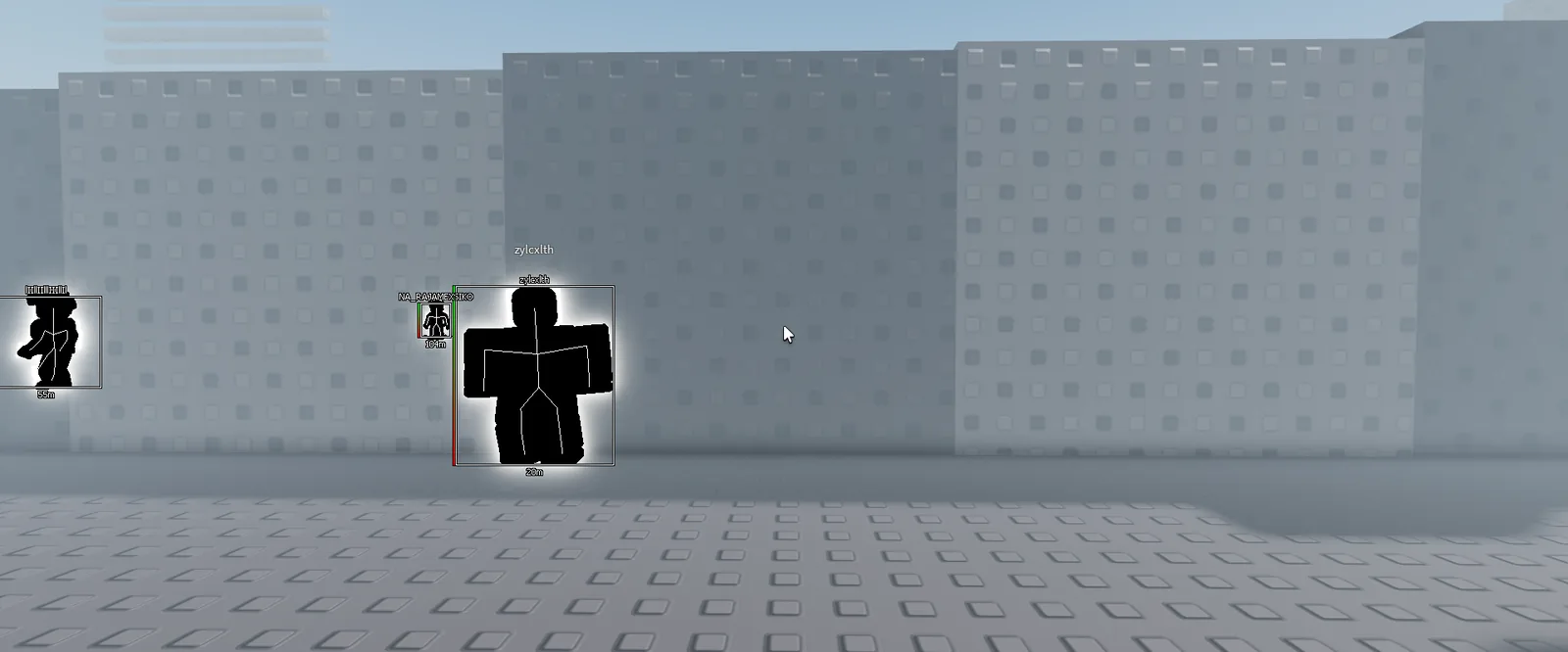 World visuals on: the world is washed out and every player is outlined with a box, name and distance.